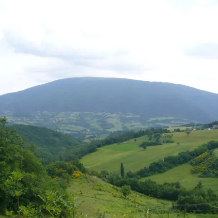 La Piccola Quercia * Arcevia