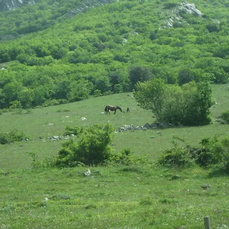 La Piccola Quercia Holiday home
