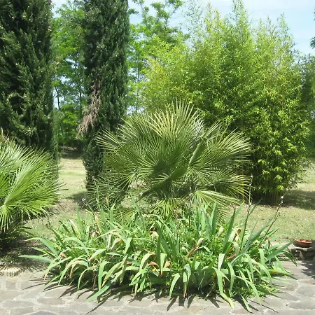 La Piccola Quercia Holiday home *